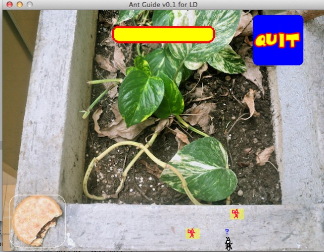 Screenshot 1 of Ant Guide