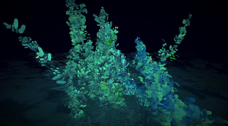 Screenshot 3 of na&iuml;ade