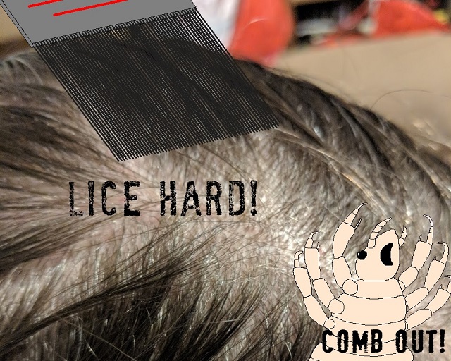 Screenshot 1 of Lice Hard