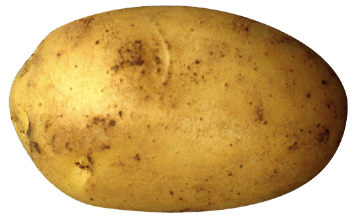 Screenshot 1 of Potato Loop