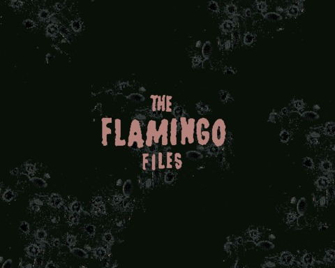Screenshot 1 of The Flamingo Files