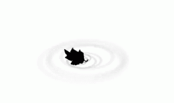 leaf on water
