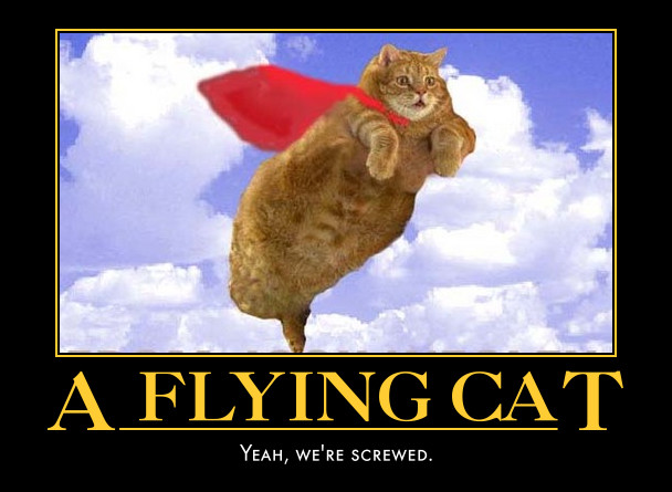A flying cat