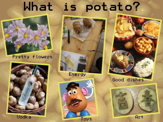 TributeToPotato